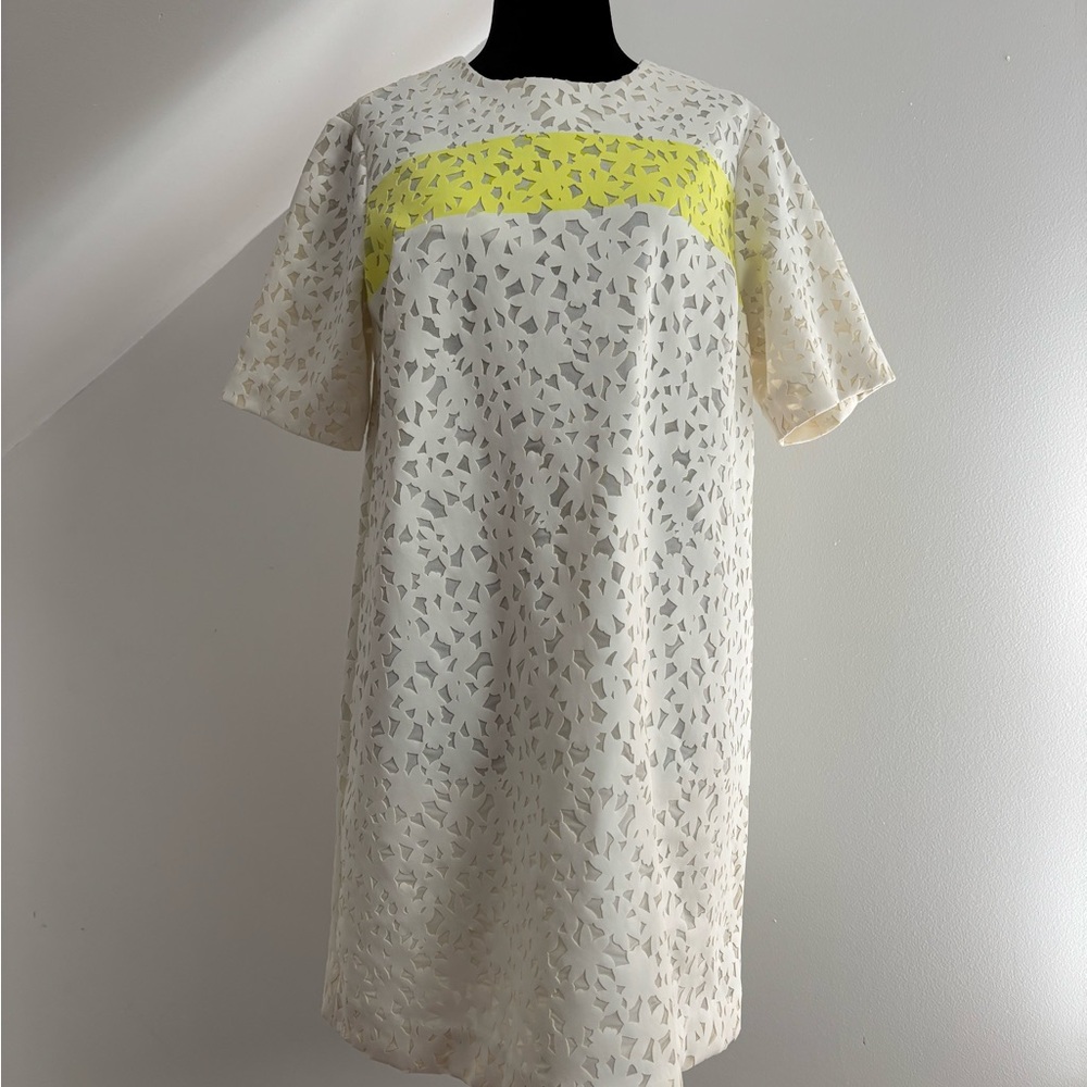 Elegant Cream and Yellow Lace Dress